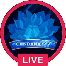 cendana777 APK Versi Terbaru untuk Android 2026 dan ayu89: Rangkuman Brand yang Banyak Dicari