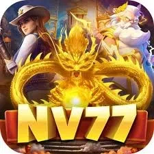 nv77 ayu89